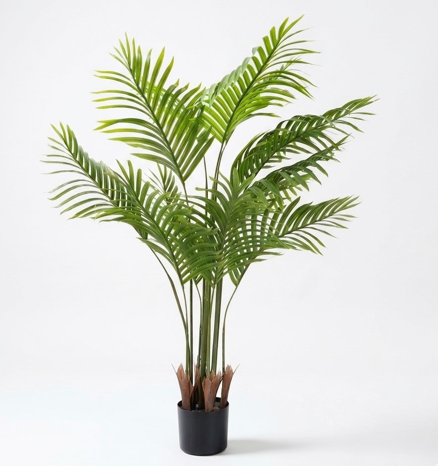 Palm Tree Decoration